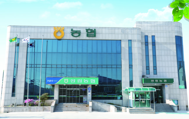쌍림농협 마늘사업 손실·절차 위반 의혹 